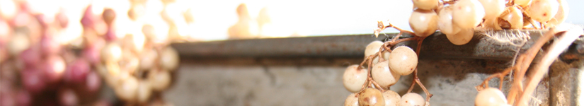 head02_06.jpg